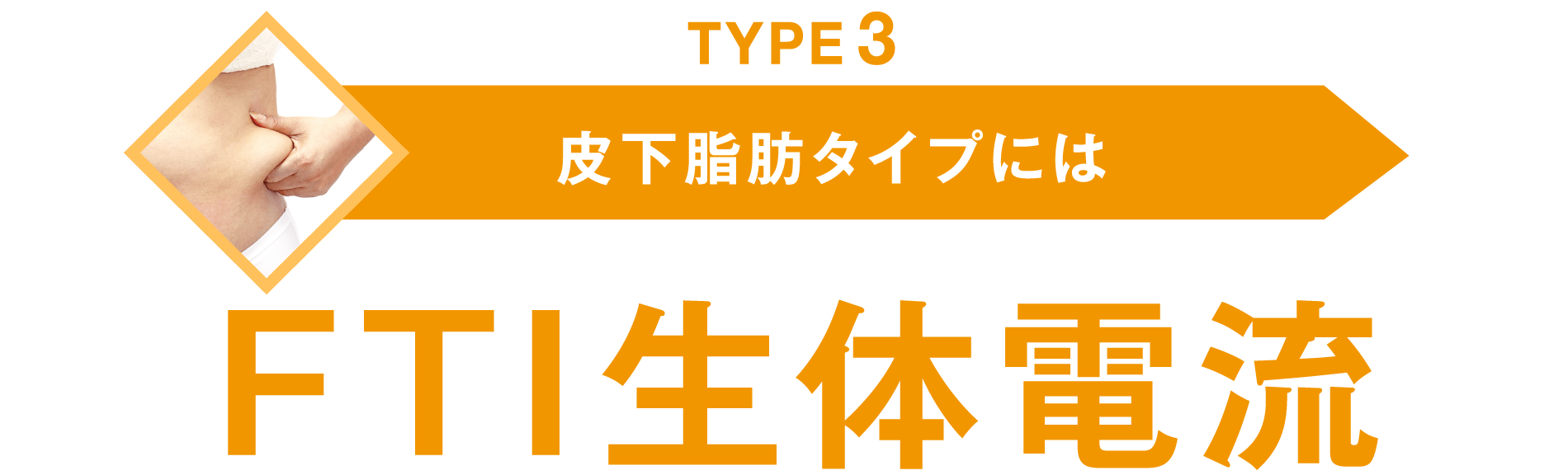 TYPE3 皮下脂肪タイプには FTI生体電流