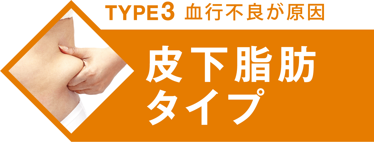 TYPE3 血行不良が原因 皮下脂肪タイプ