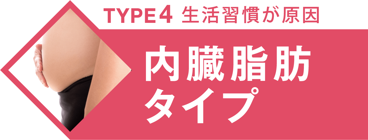 TYPE4 生活習慣が原因 内臓脂肪タイプ