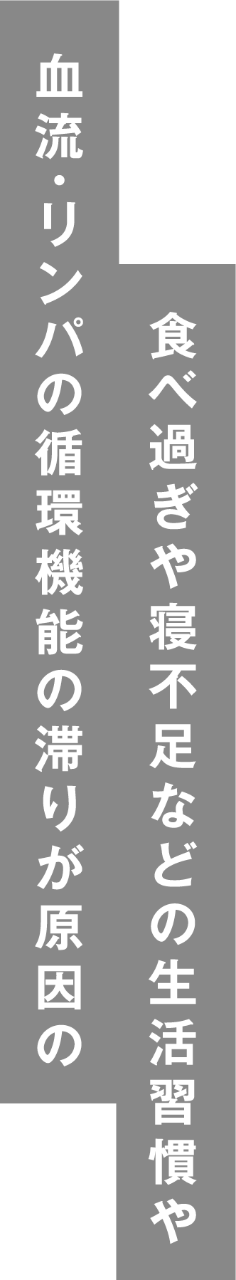 血流・リンパの循環機能の滞りが原因の食べ過ぎや寝不足などの生活習慣や
